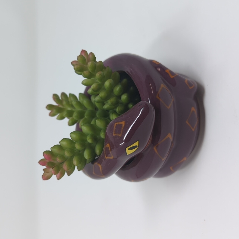 Target Hyde and Eek Snake Succulent